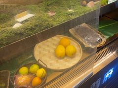 -云尊府云南菜·蒸汽石锅鱼(学清路店)