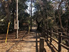 -井之头恩赐公园