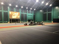 -齐动力网球(星河湾基地店)