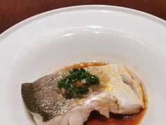 鲜椒蒸鳕鱼-蟹榭·本帮江浙菜·蟹宴(五角场合生汇商场店)