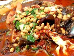 孙血旺-平乐古镇孙血旺