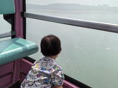 -琴岛之星摩天轮
