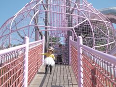 -牛岗山公园