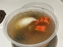 -凉凉海石花