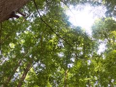 -南京金牛湖风景区