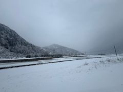 -芦芽山旅游度假区