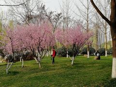 -堤角公园