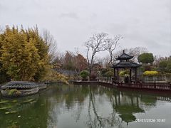 -朴园