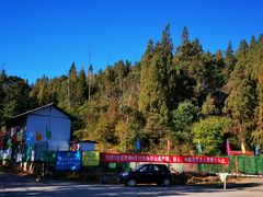 -长虫山生态公园风景林