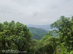 -惠山国家森林公园