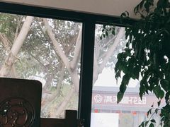-满天星花园