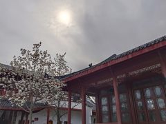 -堤角公园