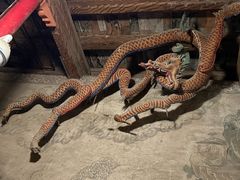 -张掖大佛寺景区