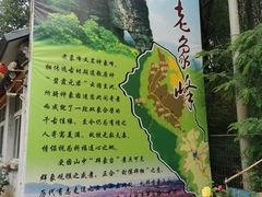 -老象峰