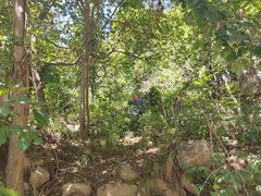 -秦岭终南山世界地质公园翠华山景区