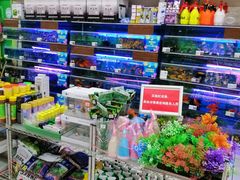 -大润发(张江店)