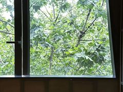 -LANN I 蘭 泰式古法按摩(徐家汇城开YOYO店)