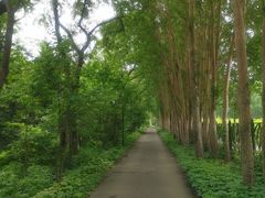 -黑龙江省森林植物园