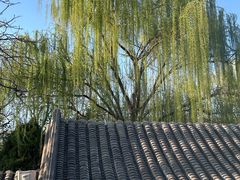 -悦真雅院·四合院·清真私房菜(雍和宫店)