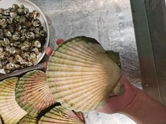 -潮庭·大连海鲜·炭火烧烤·扇贝王(大连店)