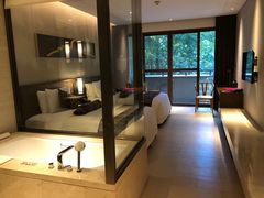 -西双版纳融创皇冠假日度假酒店