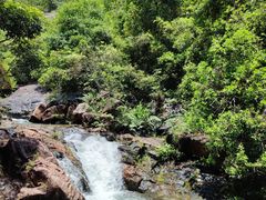 -广州白江湖森林公园