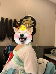 -盘子女人坊古装写真摄影(天津总店)