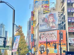 -秋叶原电器街