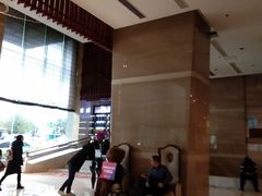 -长沙小天鹅戴斯酒店