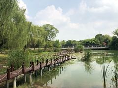 -苏州金鸡湖大酒店