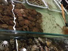 -南戴河海滨市场