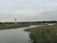 -白洋淀景区