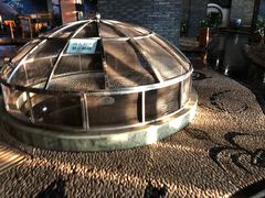 -陆地游轮吉林神农温泉