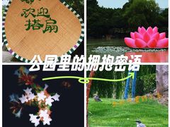-徽园