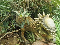 -呀路古热带植物园