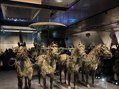-秦始皇帝陵博物院-丽山园