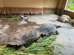 -珠海长隆海洋王国