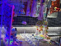 -水巷子·巴掌腰片重庆火锅(云纺店)