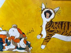-猫街饭团(顶澳仔猫街店)