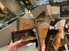 -上海博物馆(人民广场馆)