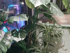 -椰小鸡·琼州糟粕醋·火锅(美兰缤纷城店)