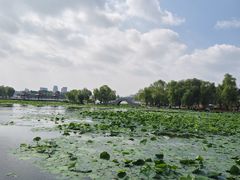 -长春市南湖公园