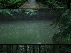 -虎跑公园