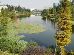 -东岳体育公园