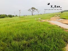 -米内日亚国家公园