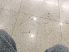 -上海浦东嘉里大酒店