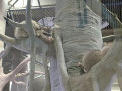 -海合安成都极地海洋公园