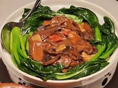 葱烧花胶辽参-肴约·花园式餐厅(湖里店)