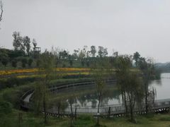 -白鹭湾湿地公园