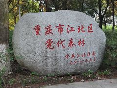 -铁山坪森林公园